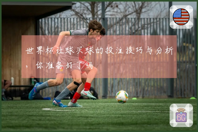 世界杯让球买球的投注技巧与分析，你准备好了吗