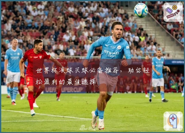 世界杯滚球买球必备推荐，助你轻松盈利的最佳选择