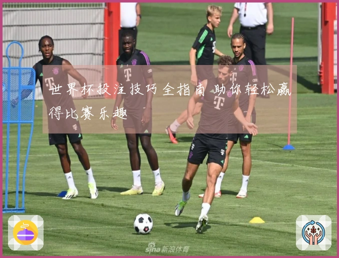 世界杯投注技巧全指南 助你轻松赢得比赛乐趣