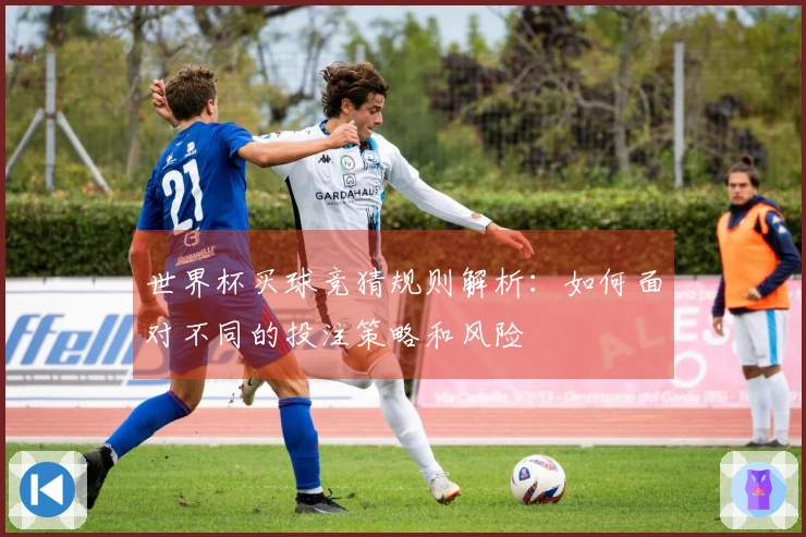 世界杯买球竞猜规则解析：如何面对不同的投注策略和风险